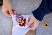 Poisoned Ground film graphic. 