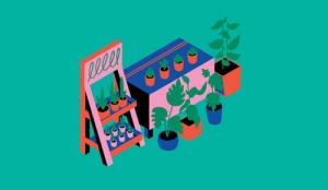 Check out a plant event. 