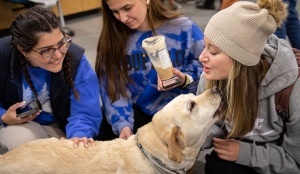 Students pet a therapy dog in the library. 