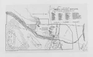 Map of Craig Colony for Epileptics: Designed for Use by the Olmstead Brothers for Landscaping Purposes. 