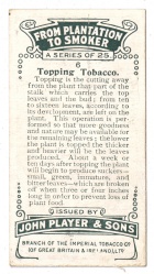 Back of Topping Tobacco Player's Cigarettes card. 
