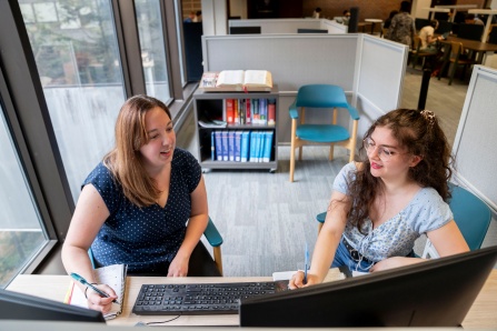 Student receiving reference help from a librarian. 