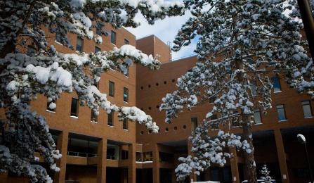 Photo of the outside of Lockwood Memorial Library. 