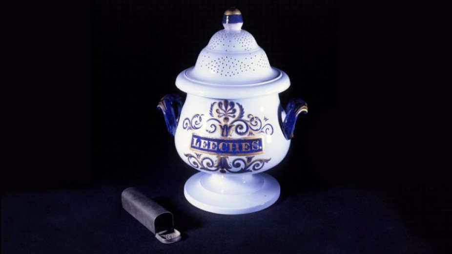 Container for leeches. 