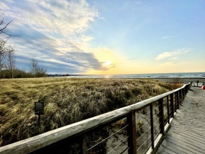 Photo taken on the Woodlawn Beach boardwalk. 