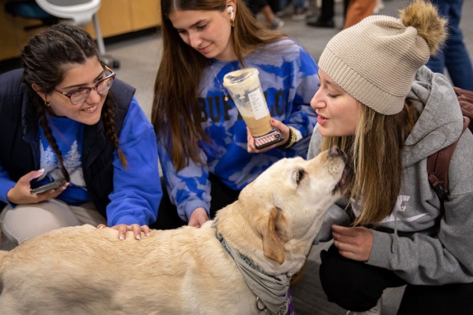 Smiling students pet a yellow labrador retriever.