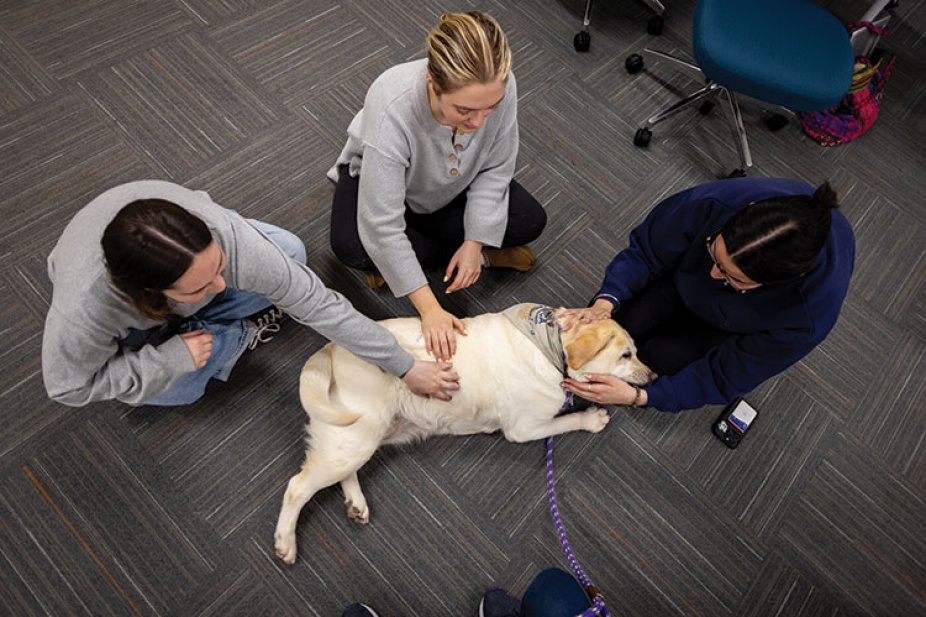 Three students pet a therapy dog. 