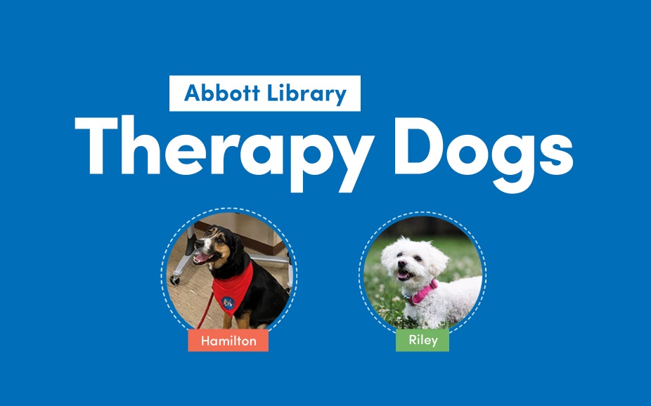 therapy dogs. 